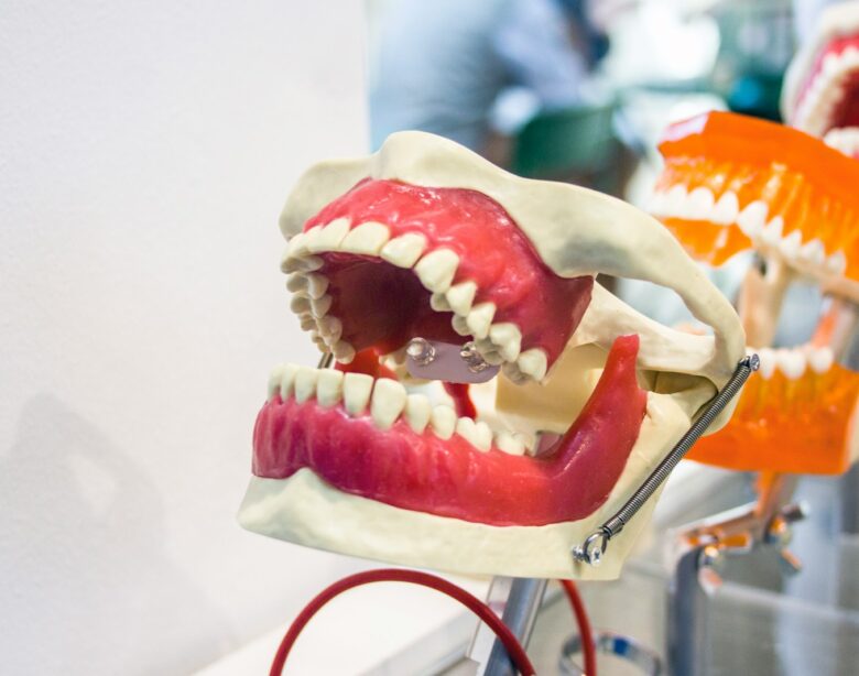 a close up of a fake mouth with teeth